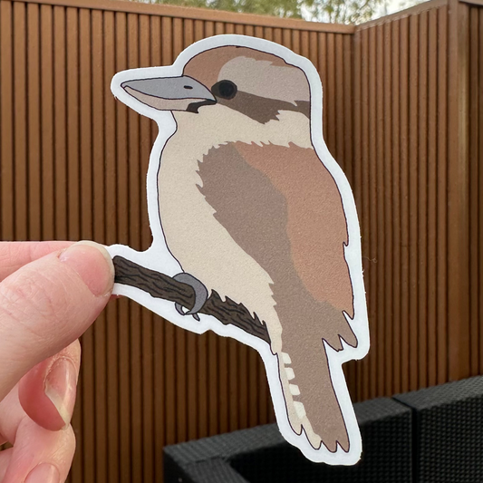 Kookaburra Sticker
