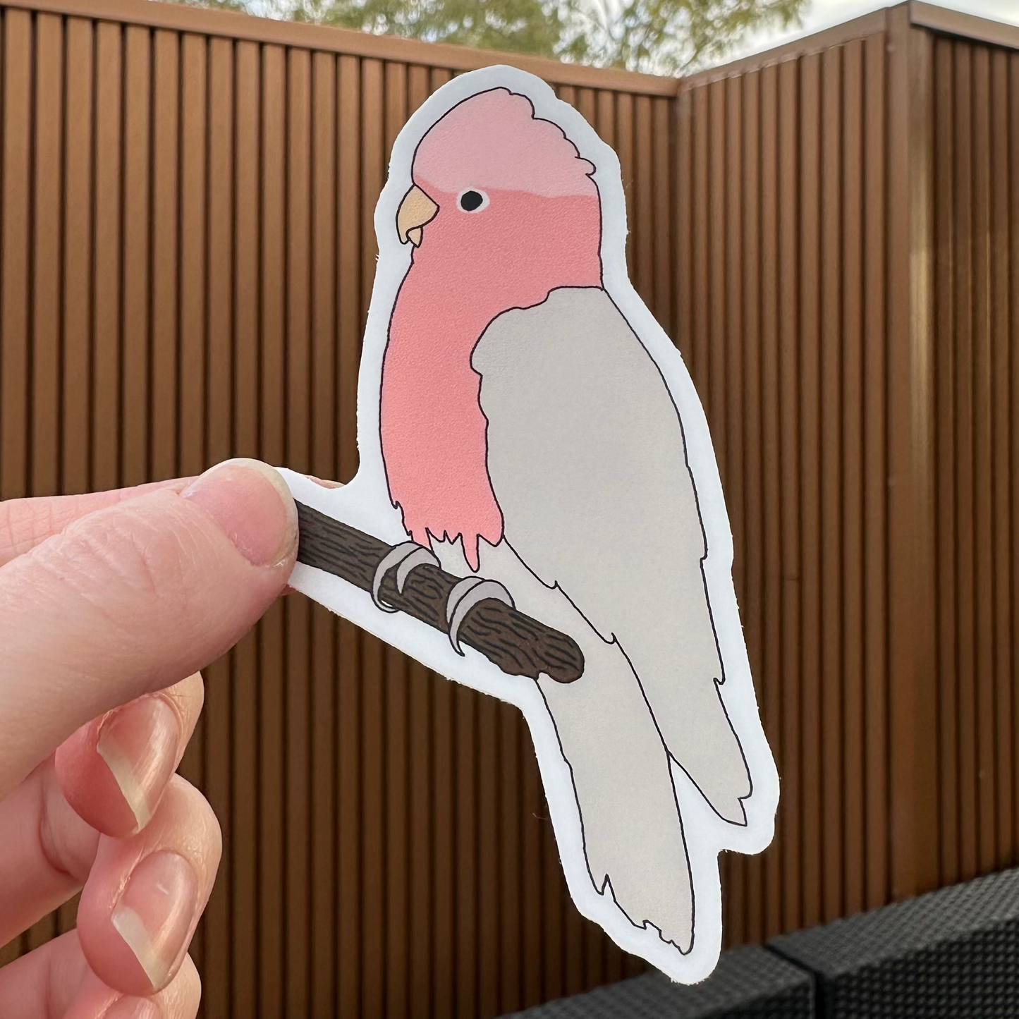 Pink Galah Sticker