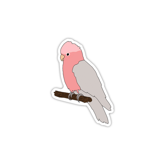 Pink Galah Sticker